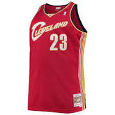 Mitchell & Ness Tank Top Lebron James Rood